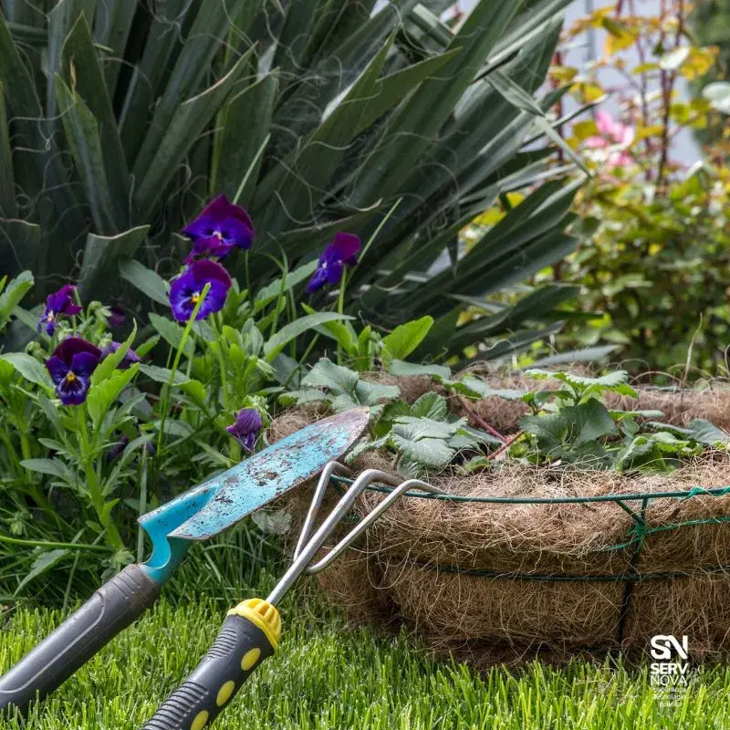 Imagem ilustrativa de Terceirização de serviços de jardinagem